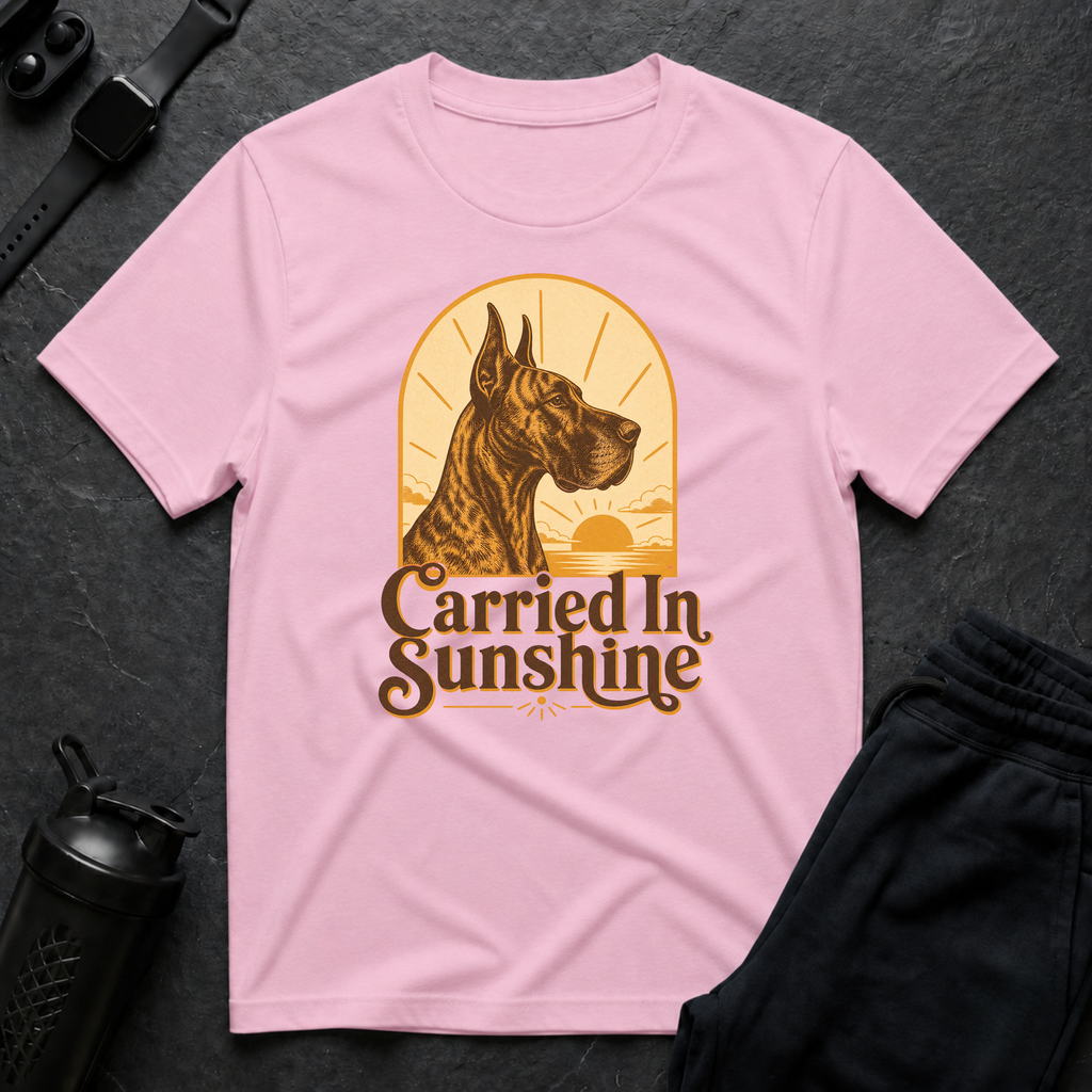 Carried In Sunshine