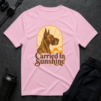 Carried In Sunshine