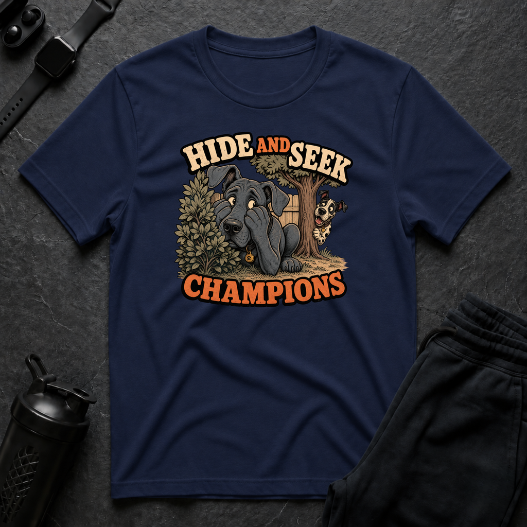 Hide and Seek Champions