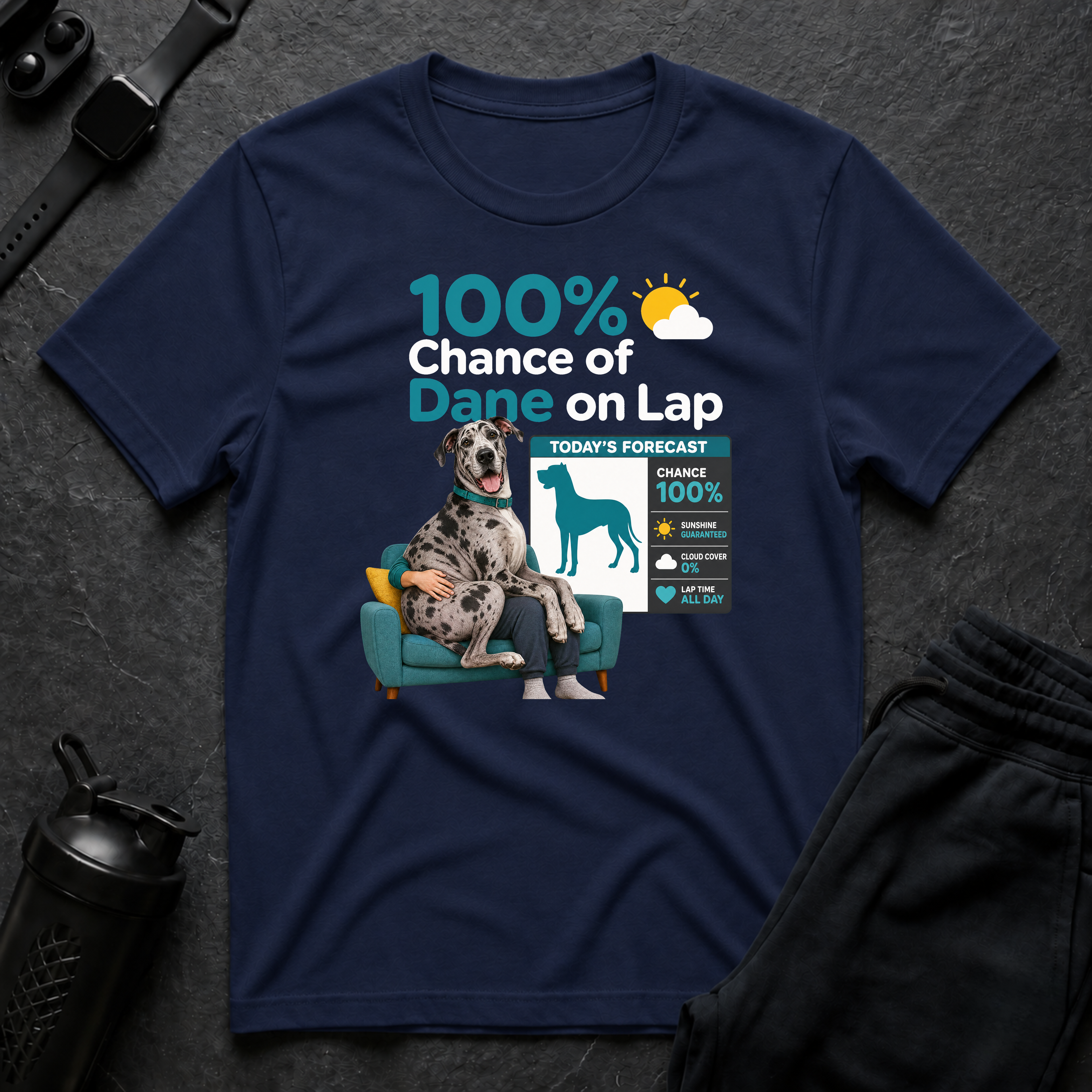 Dane on Lap Forecast