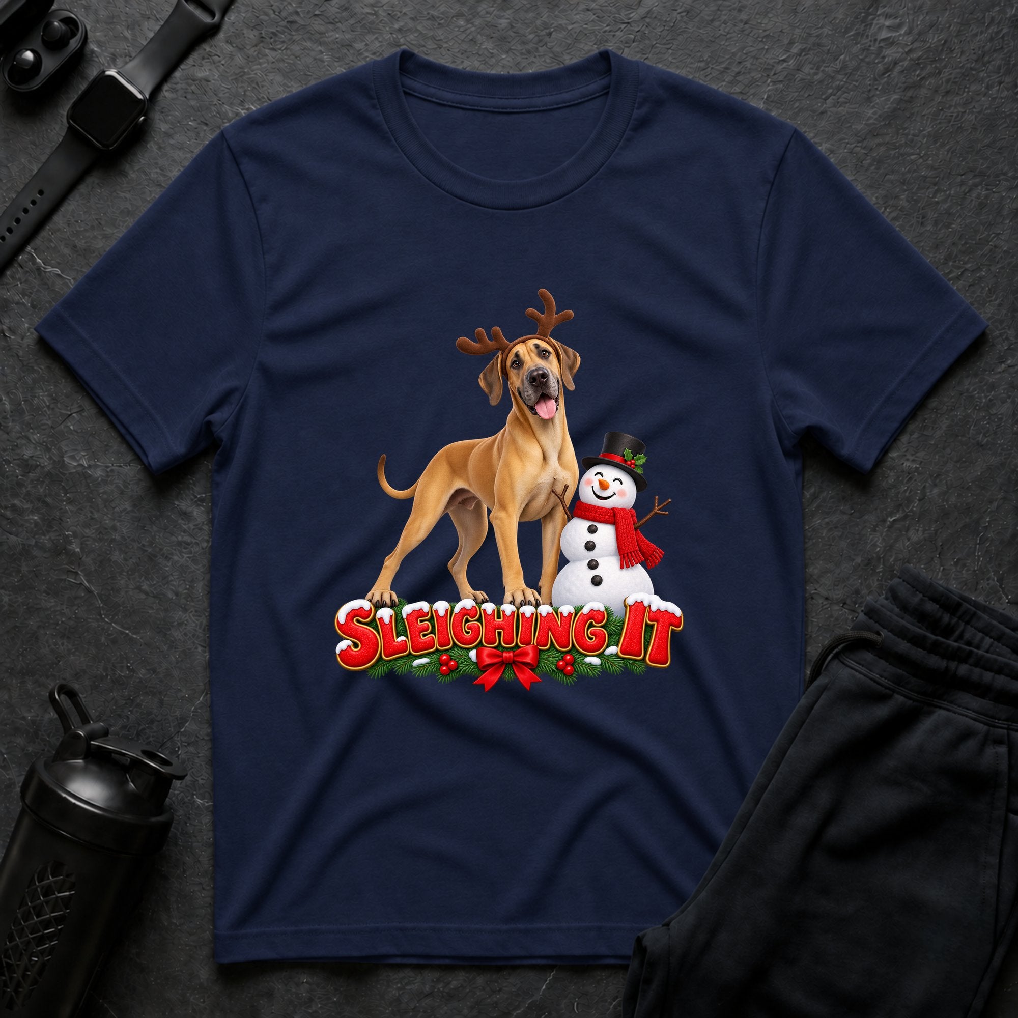 Sleighing It