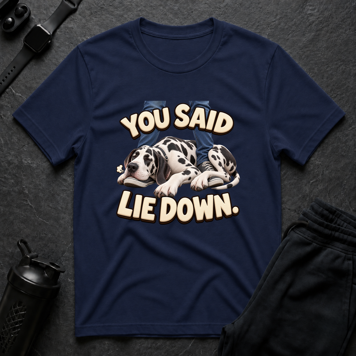 You Said Lie