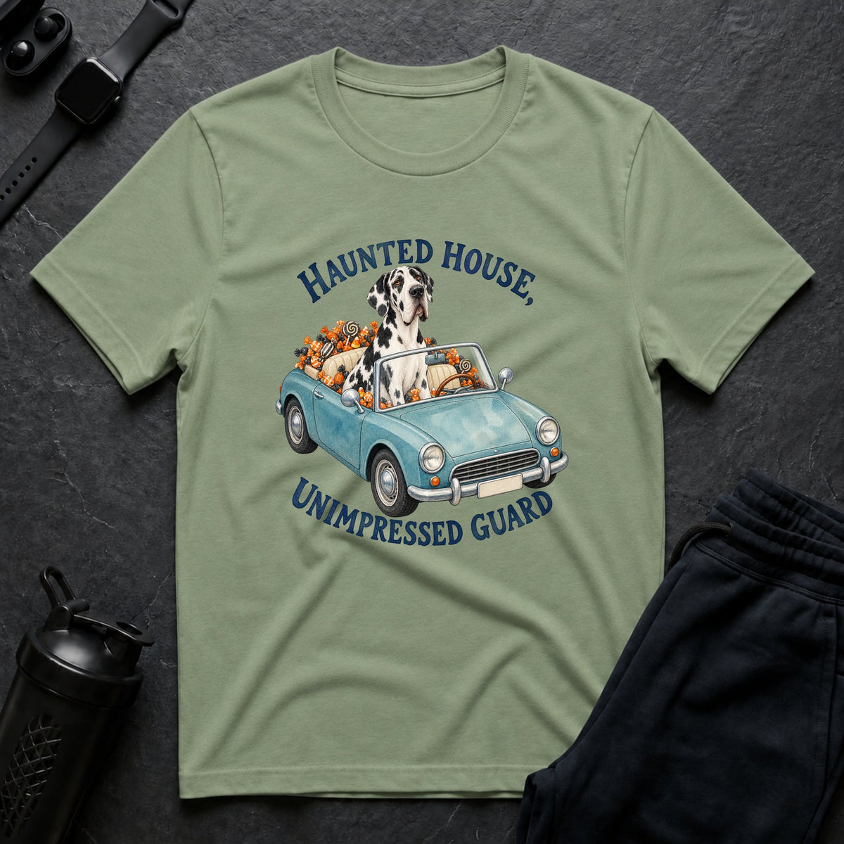 Haunted Guard