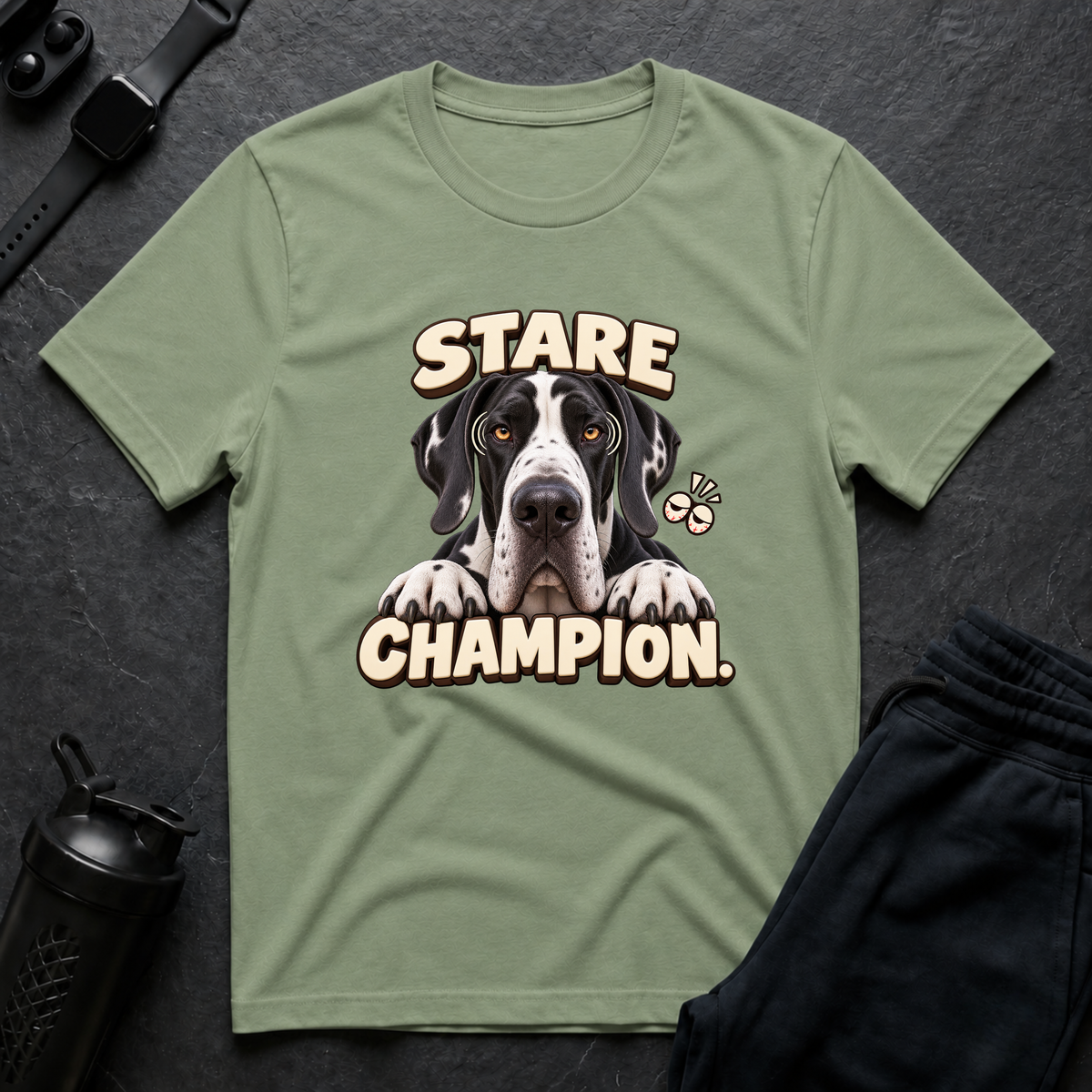 Stare Champion