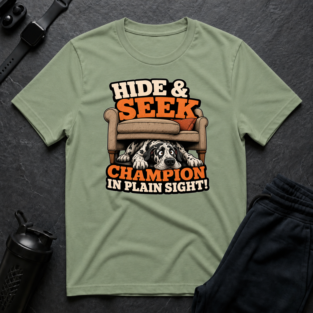 Hide Seek Champion