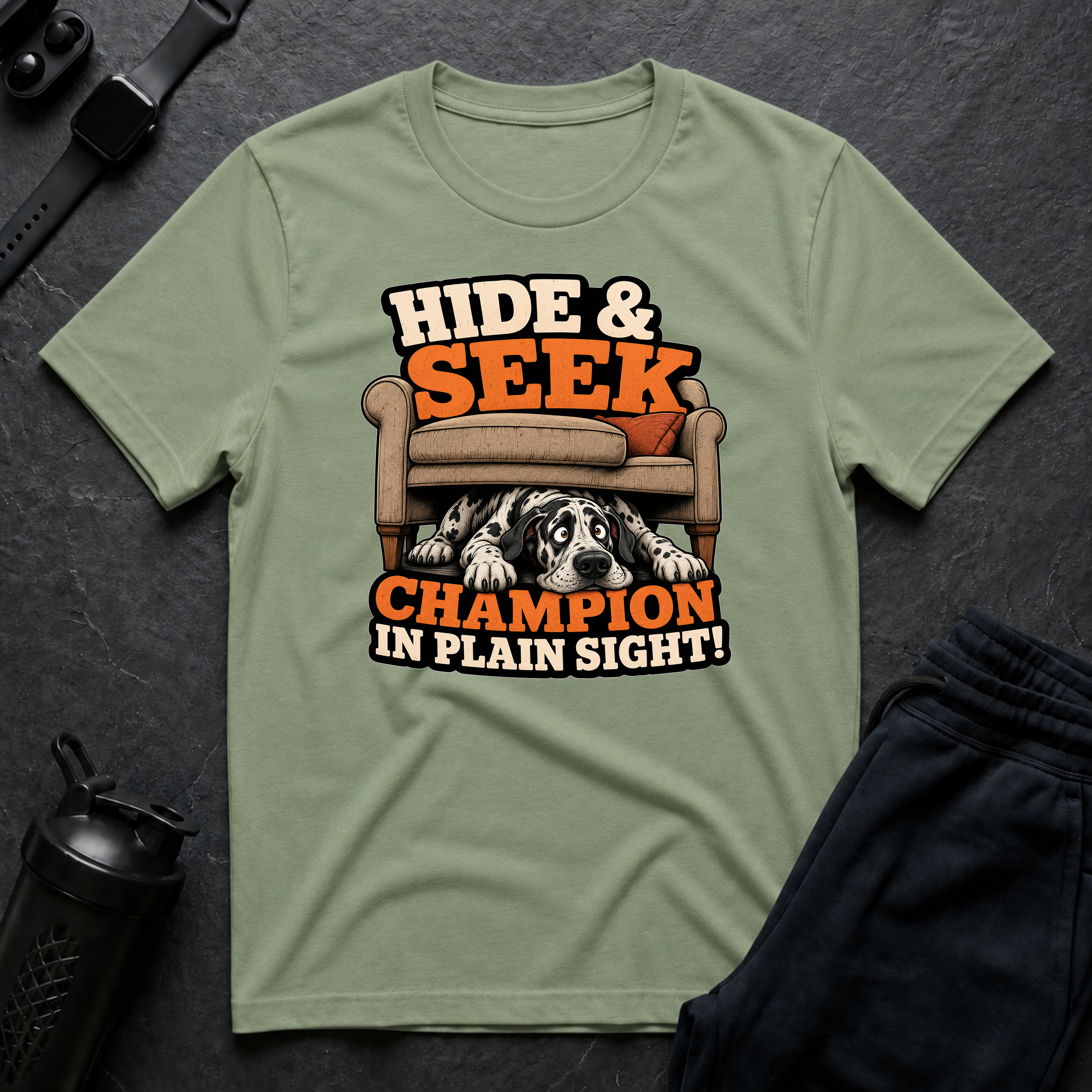 Hide Seek Champion