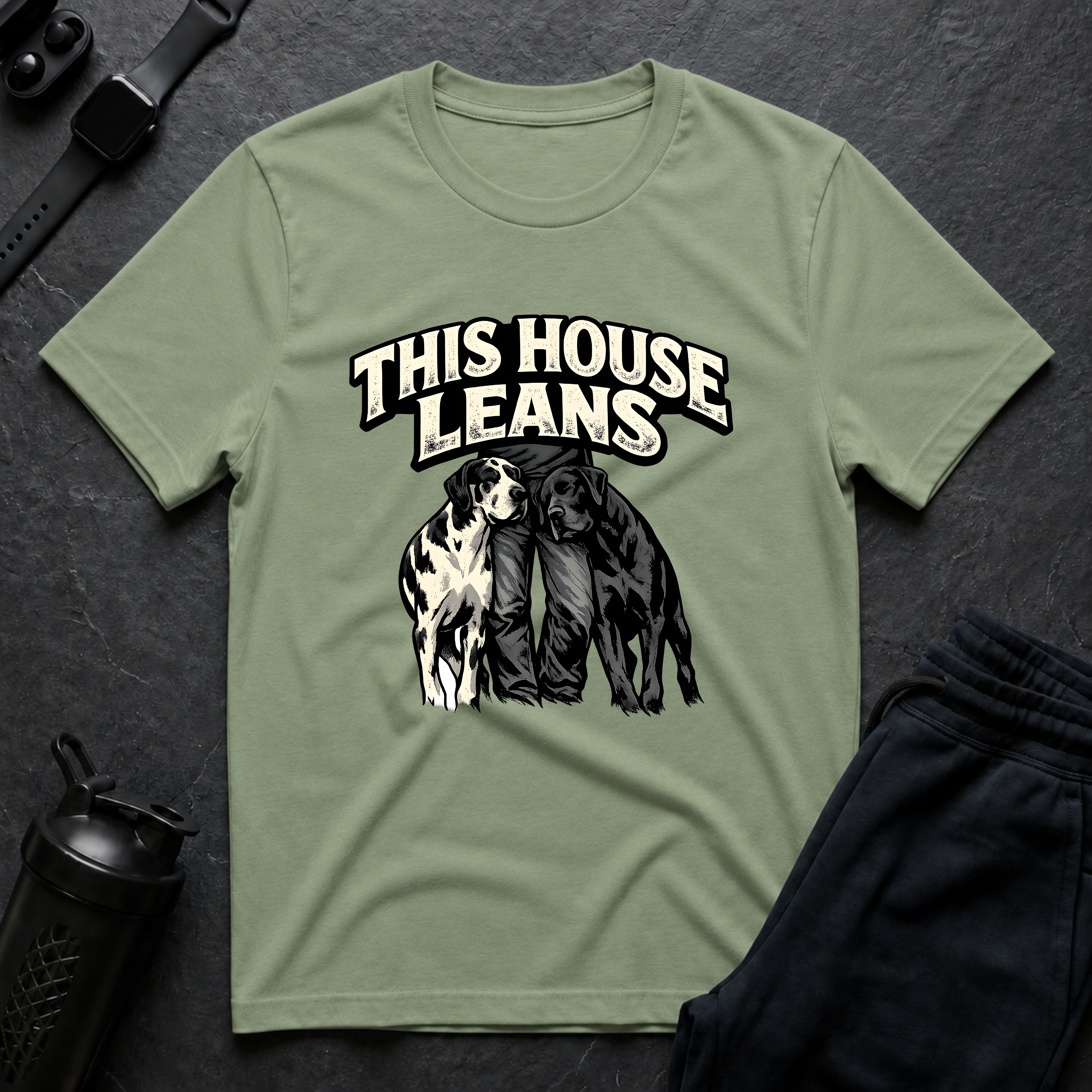 This House Leans