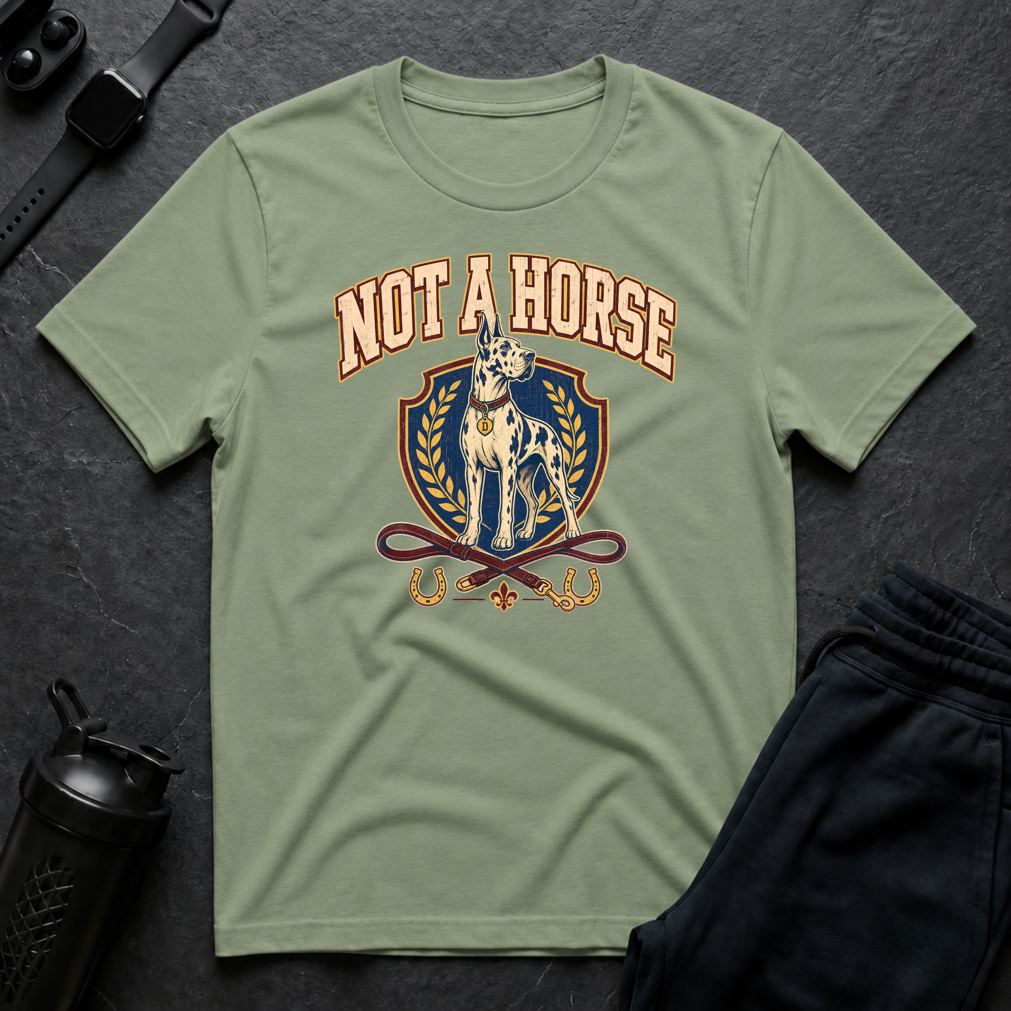 Not A Horse