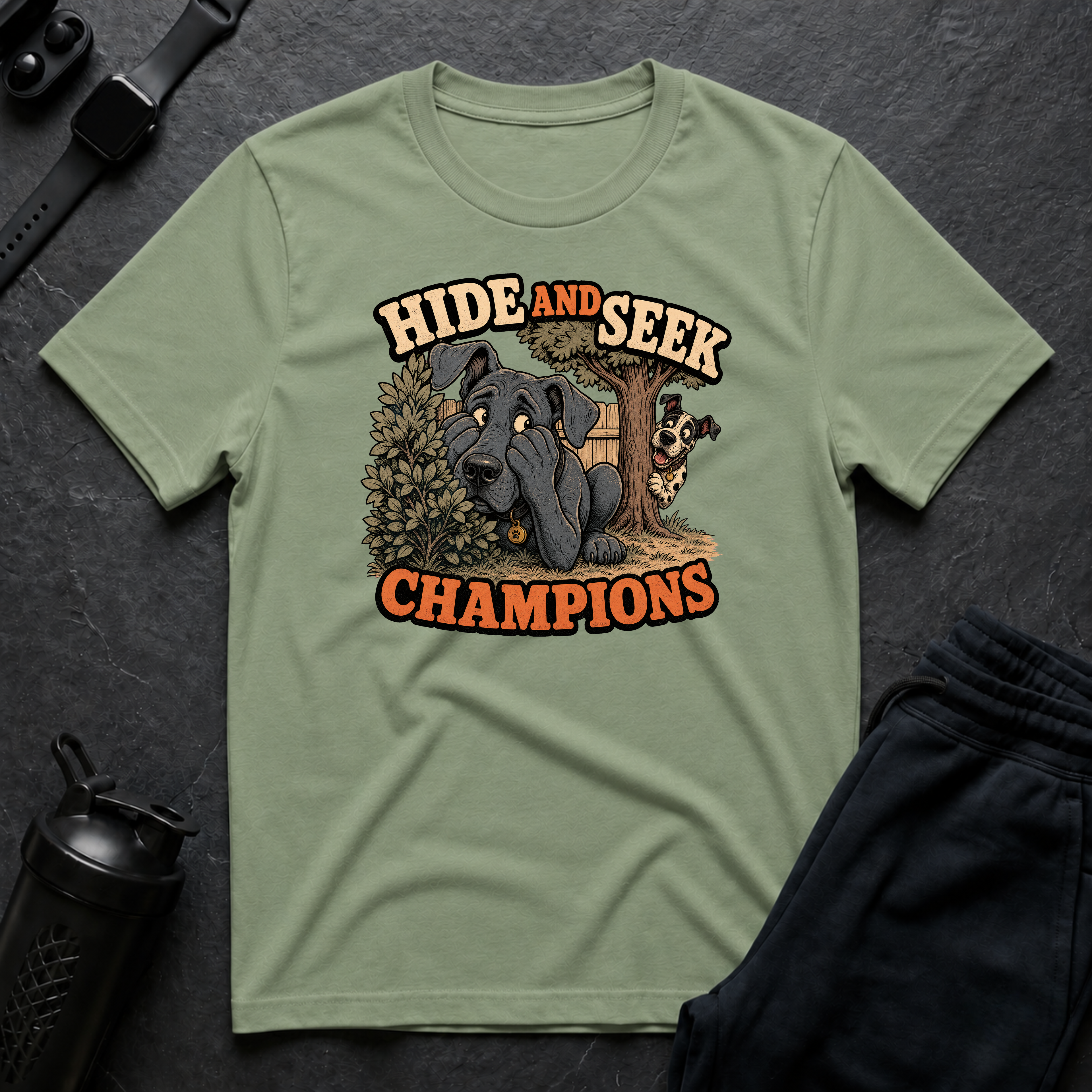 Hide and Seek Champions