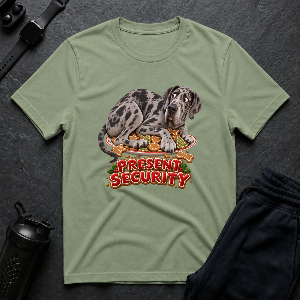 Present Security 13