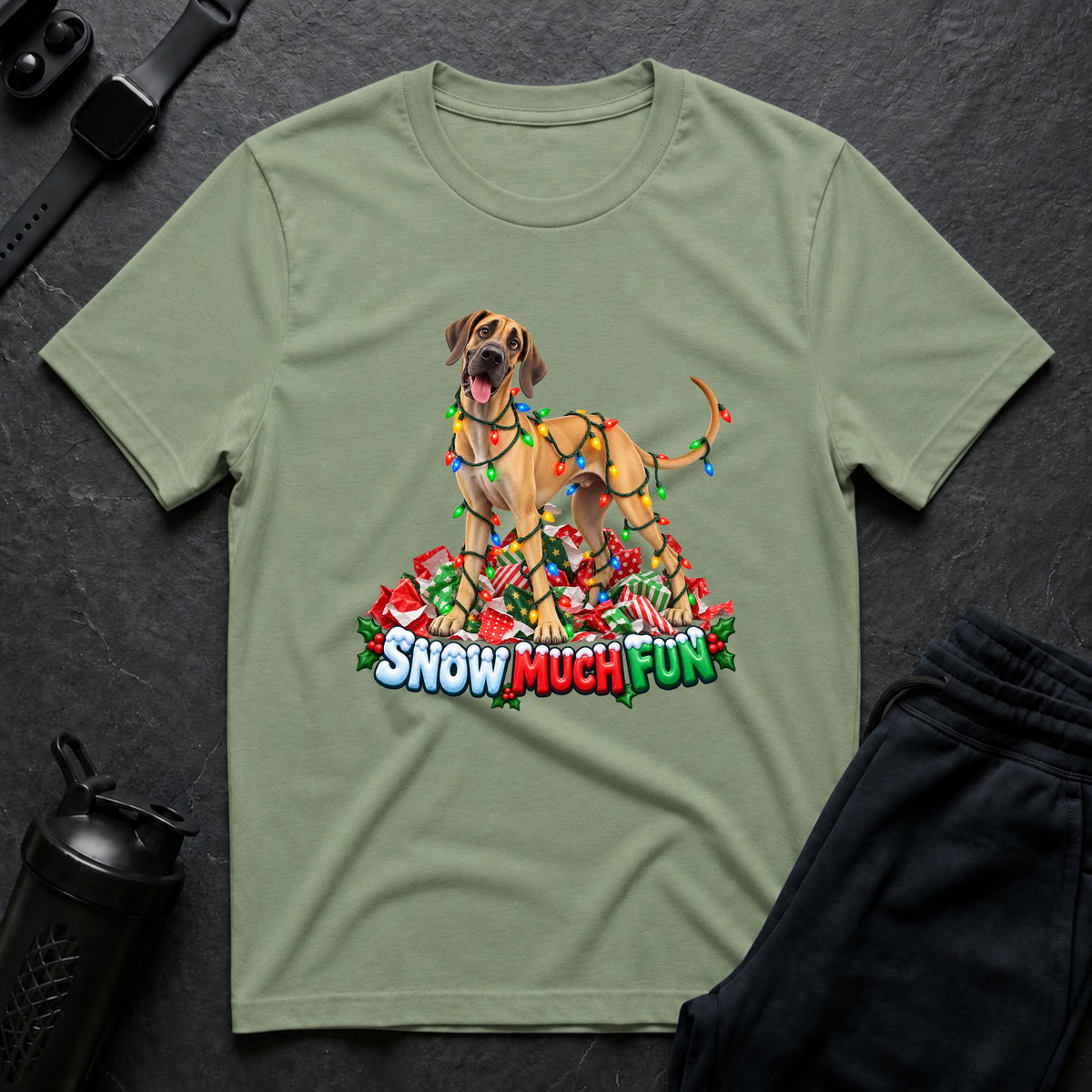 Snow Much Fun 3