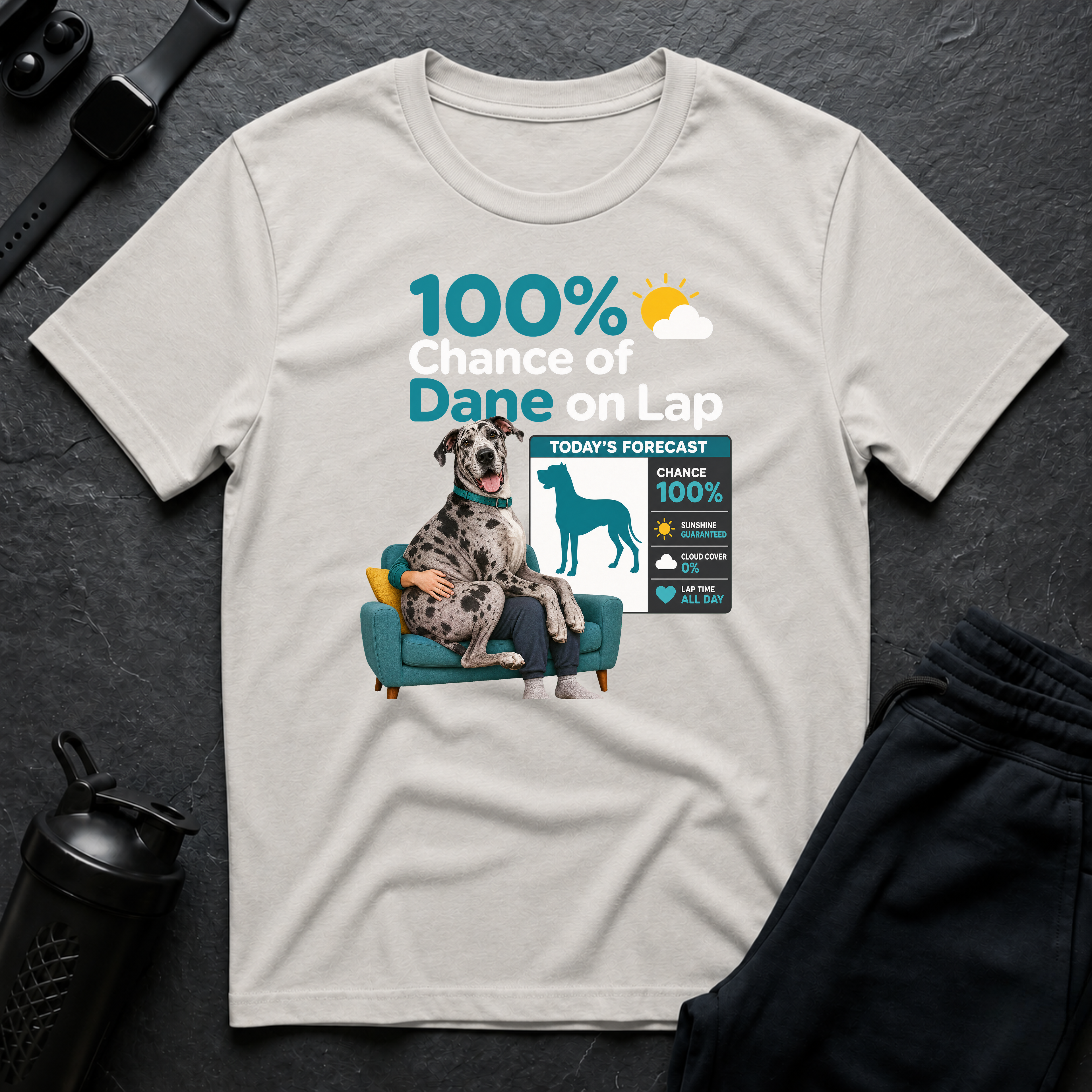 Dane on Lap Forecast