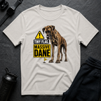 Tiny Flag Massive Dane