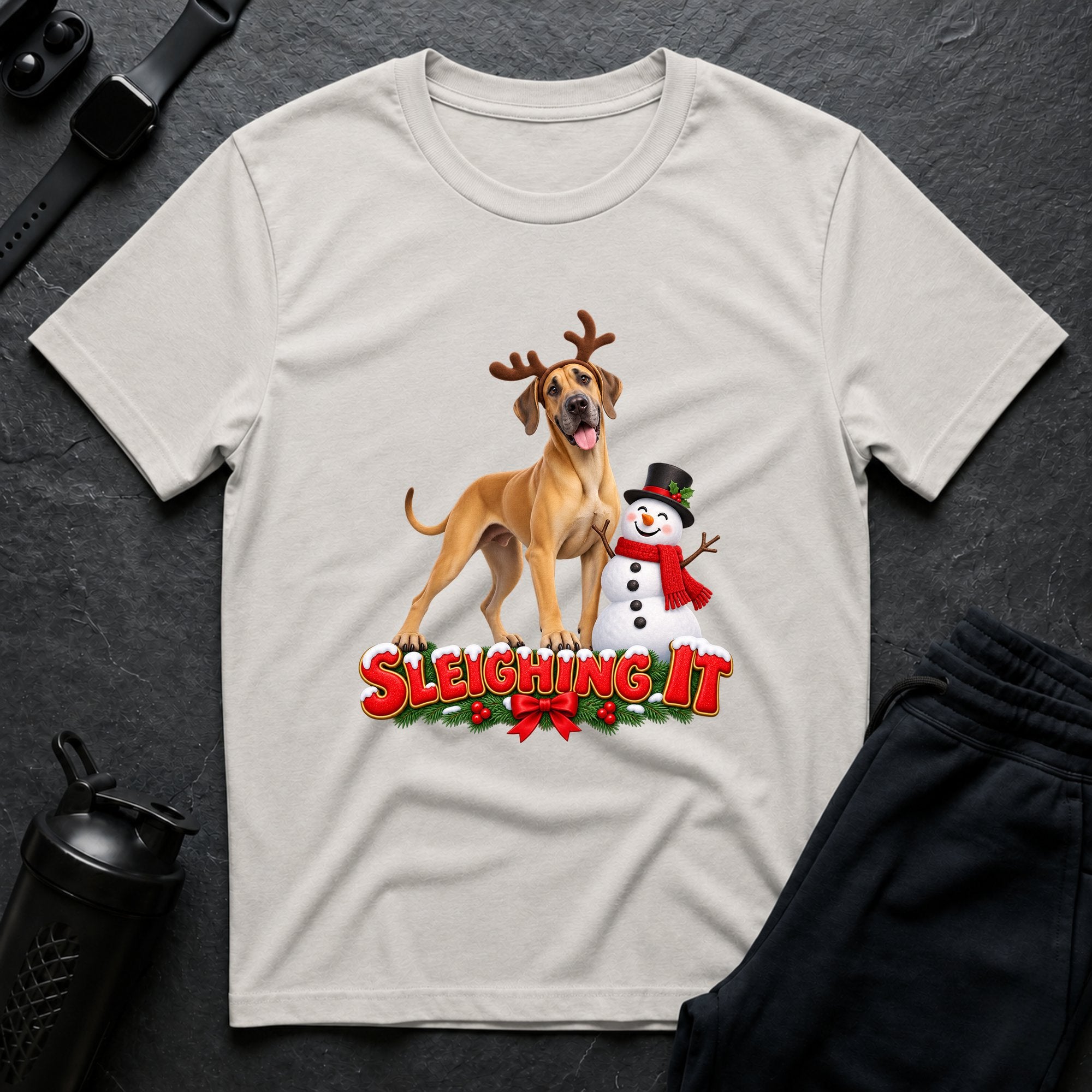 Sleighing It