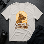 Carried In Sunshine