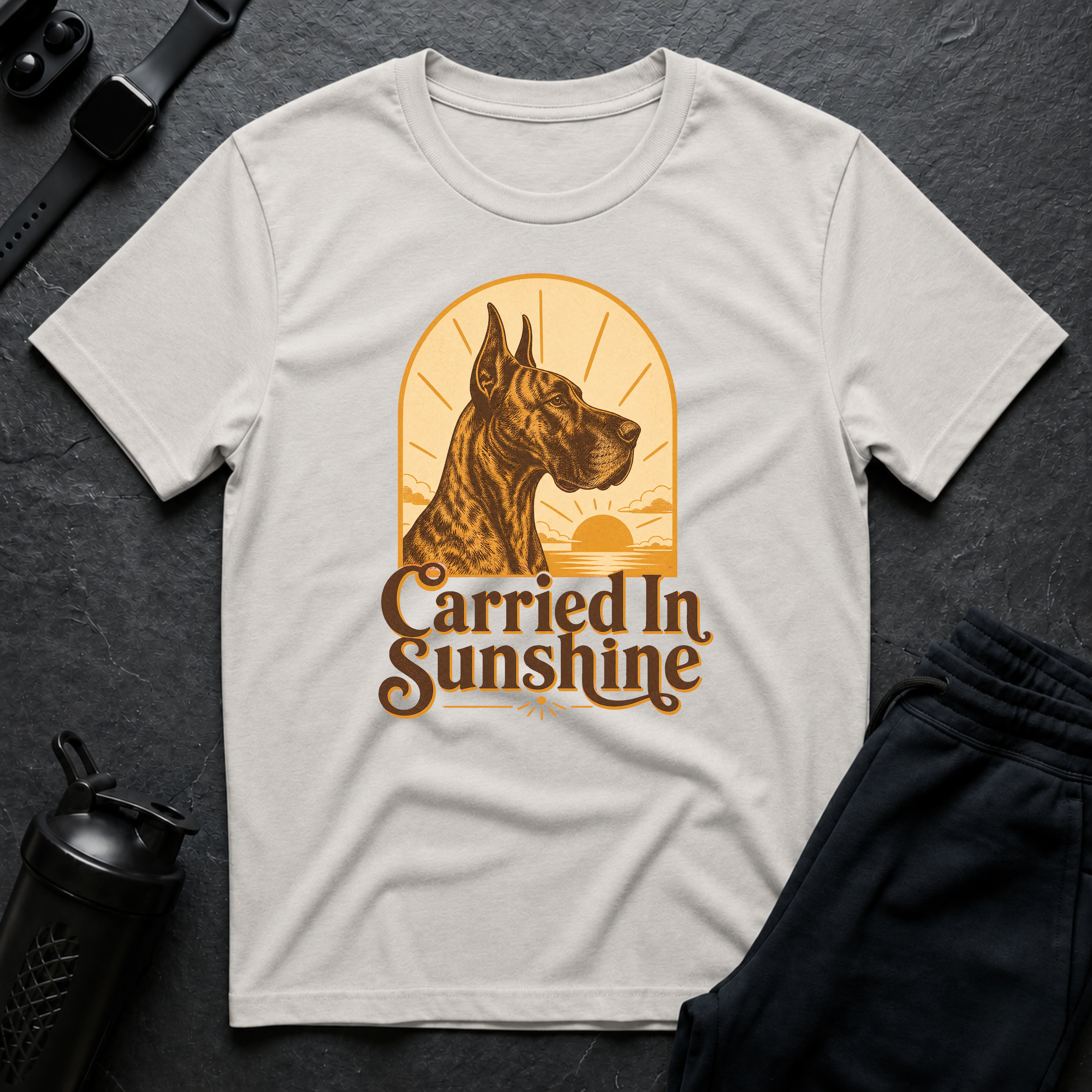 Carried In Sunshine