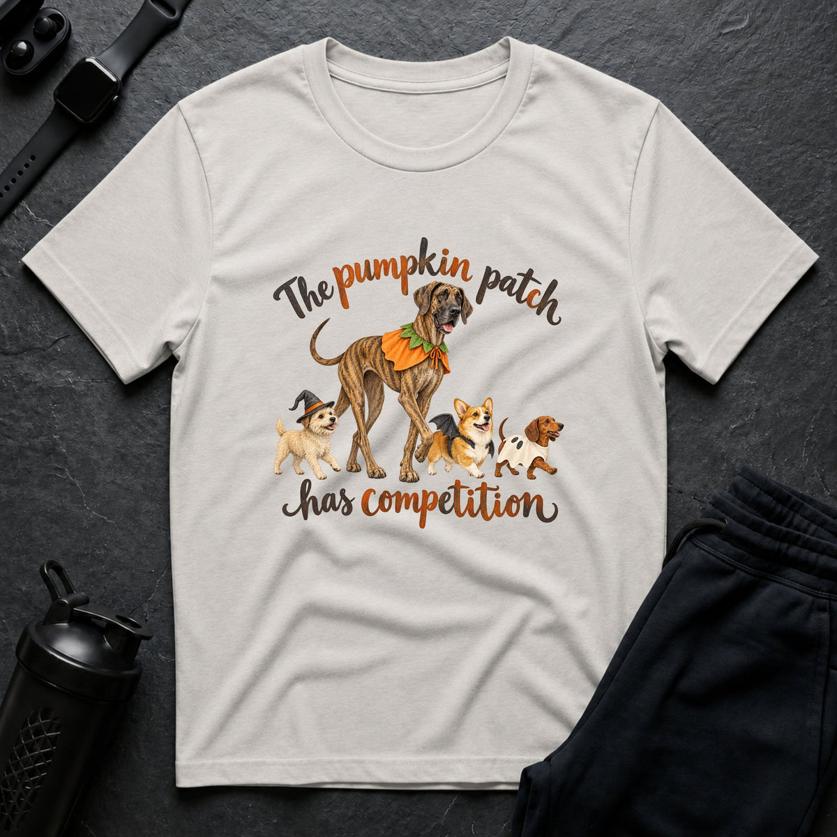 Pumpkin Patch Competition
