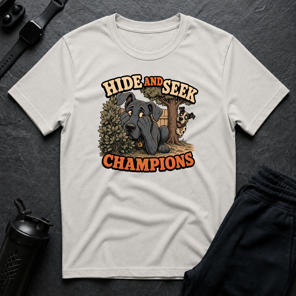 Hide and Seek Champions