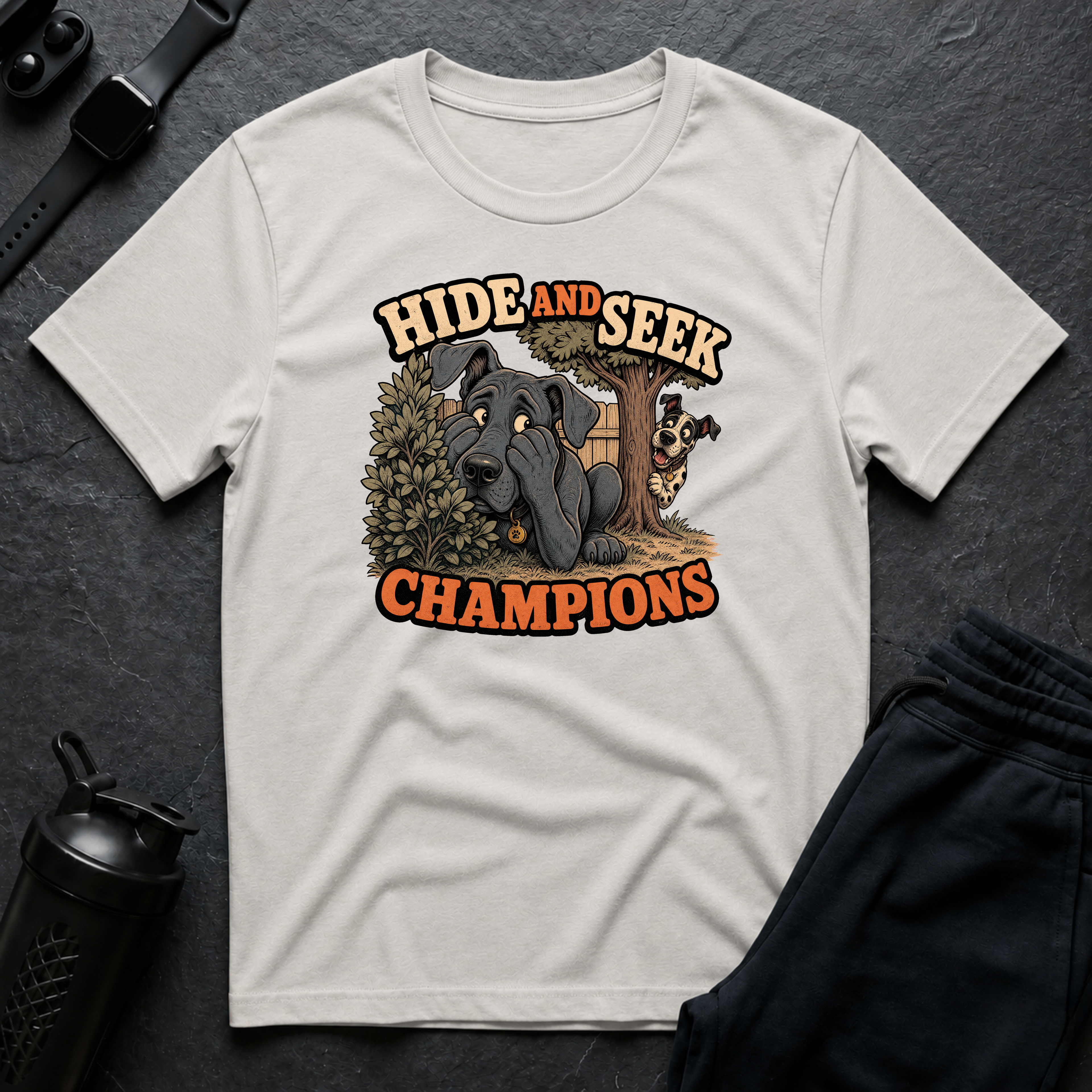 Hide and Seek Champions