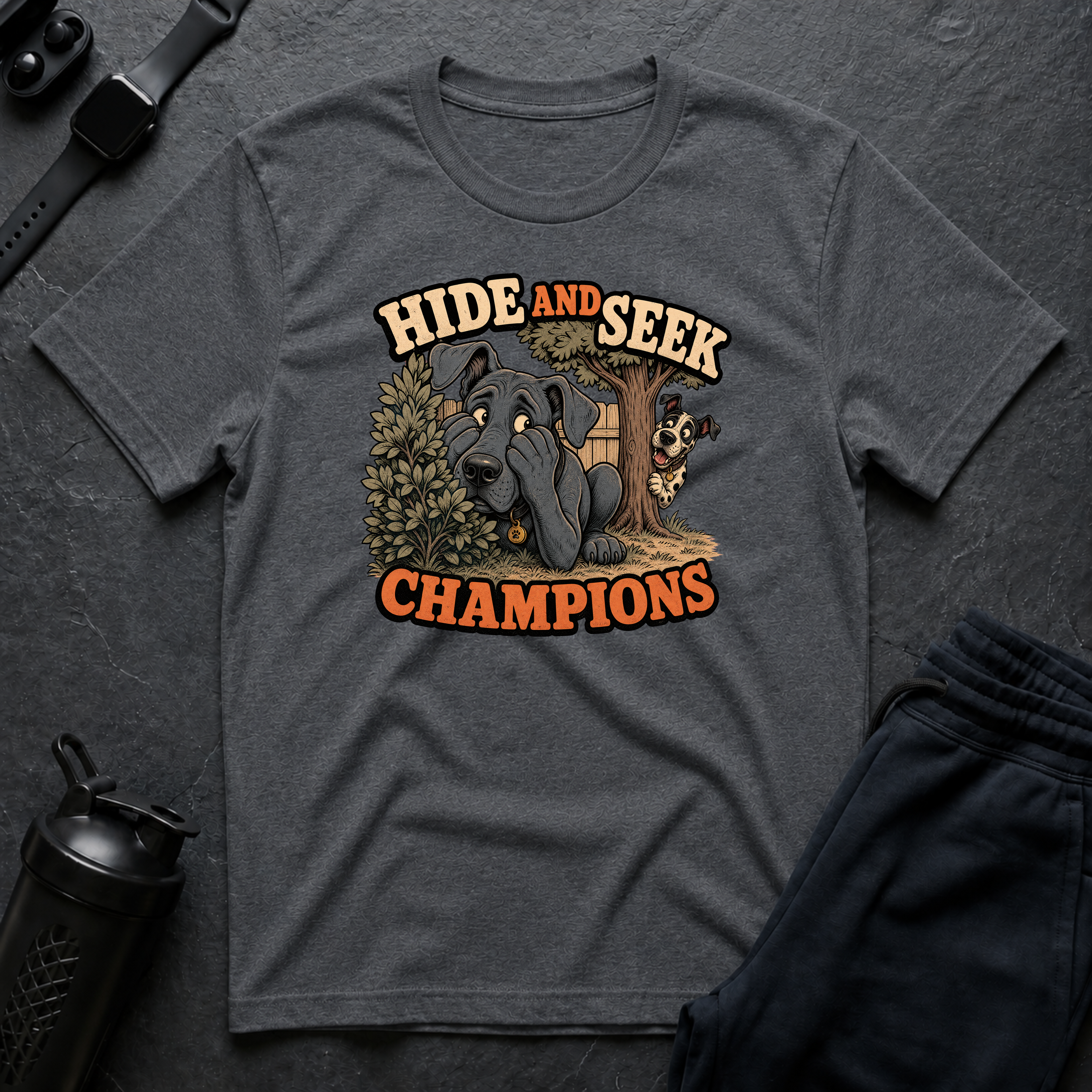 Hide and Seek Champions