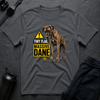 Tiny Flag Massive Dane