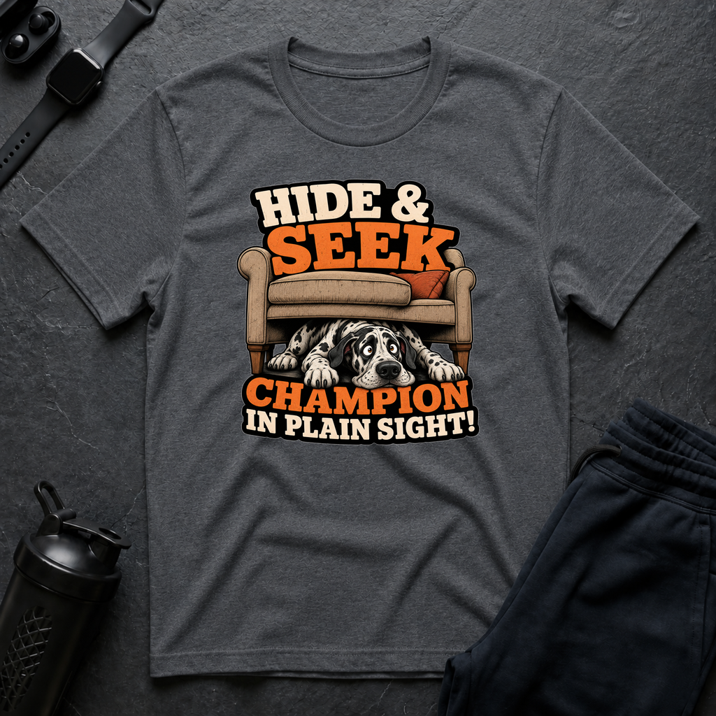 Hide Seek Champion
