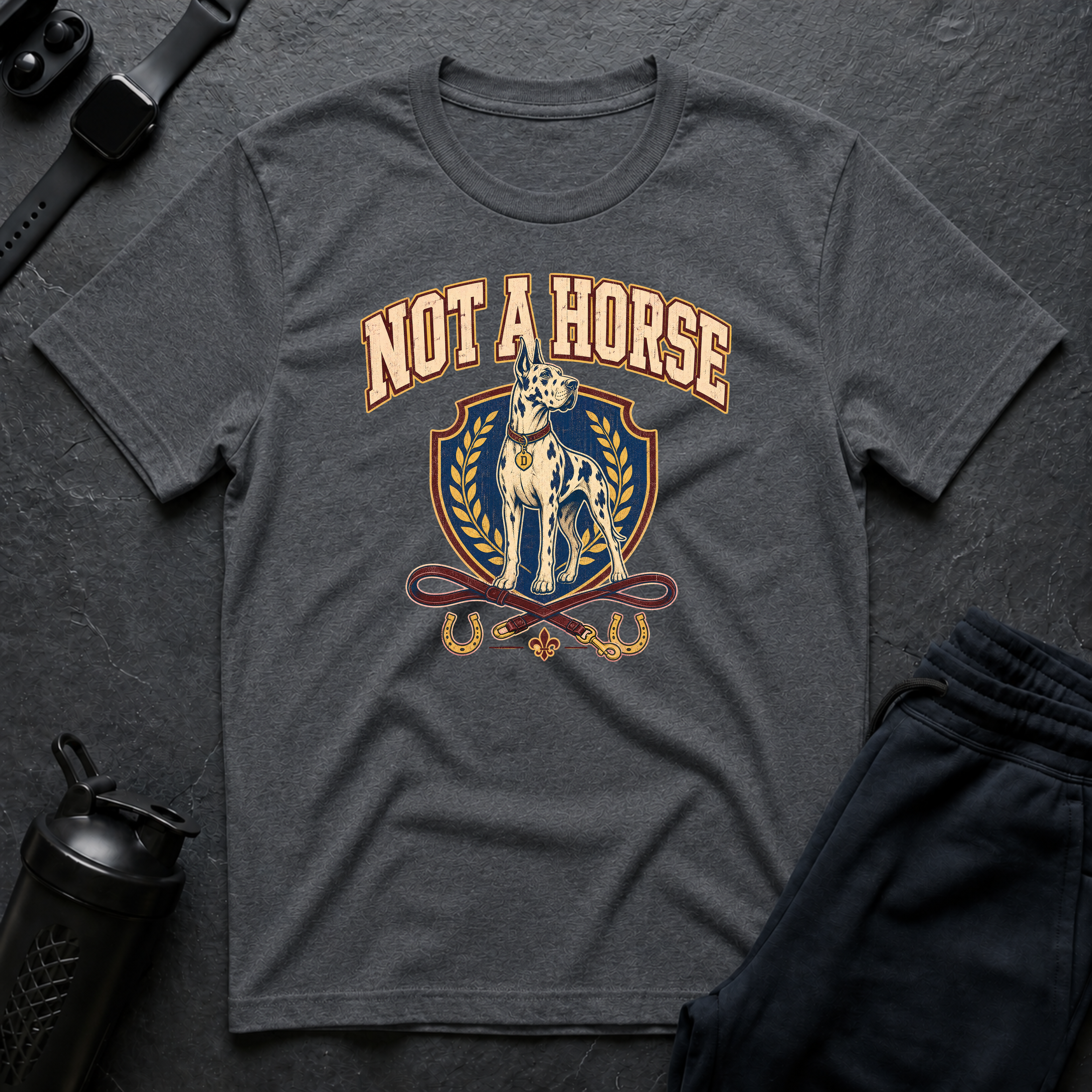 Not A Horse
