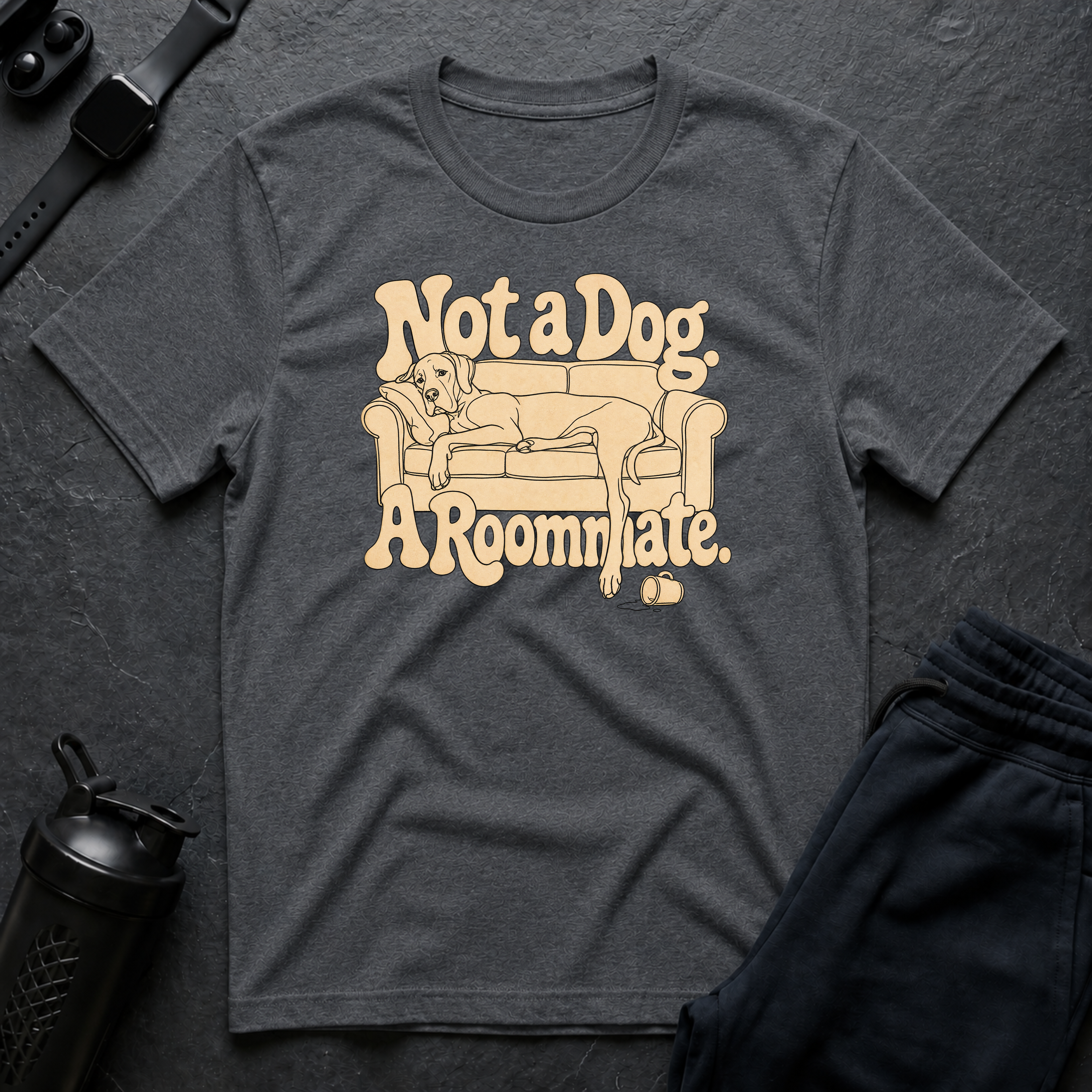 Roommate Dog Lounge