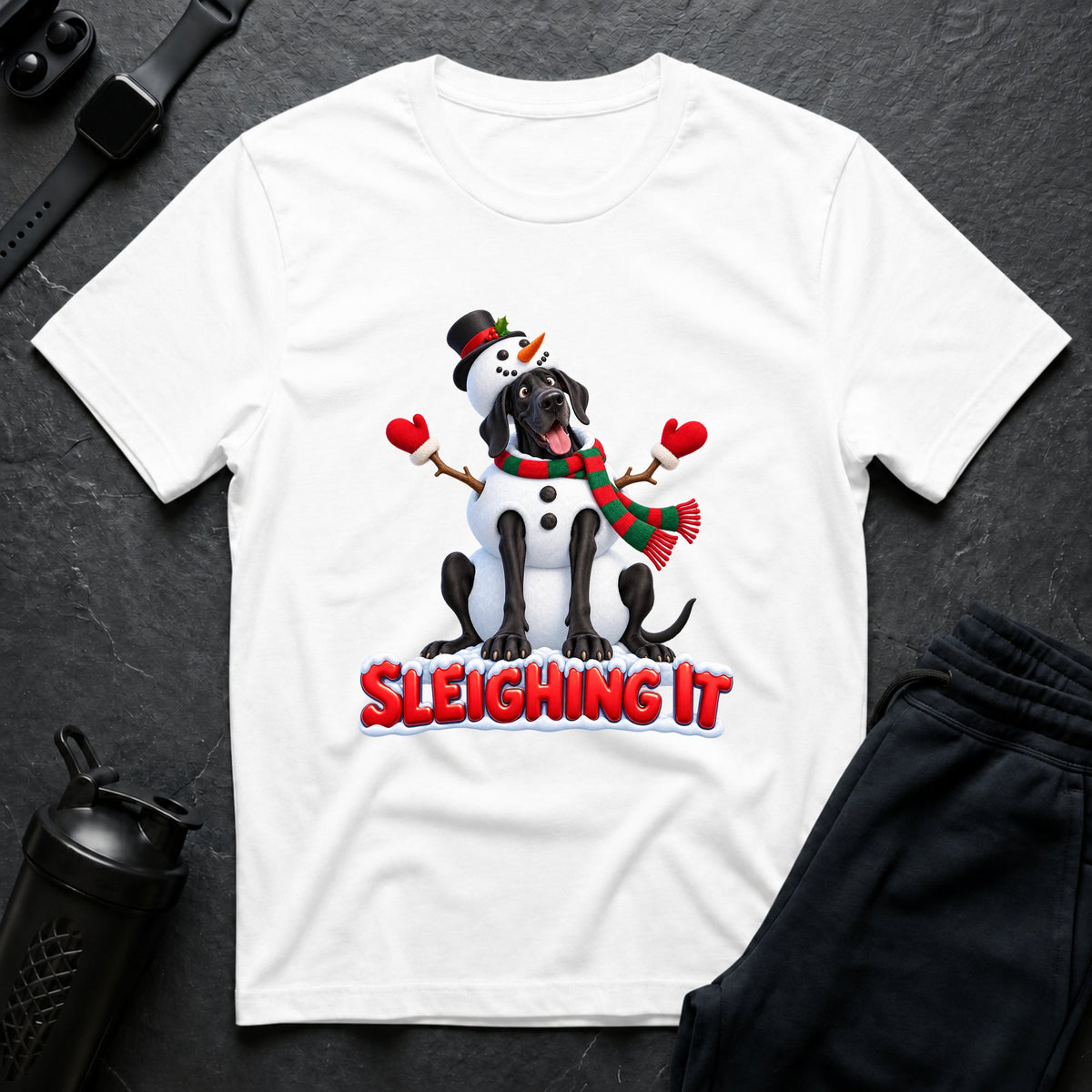 Sleighing It 2