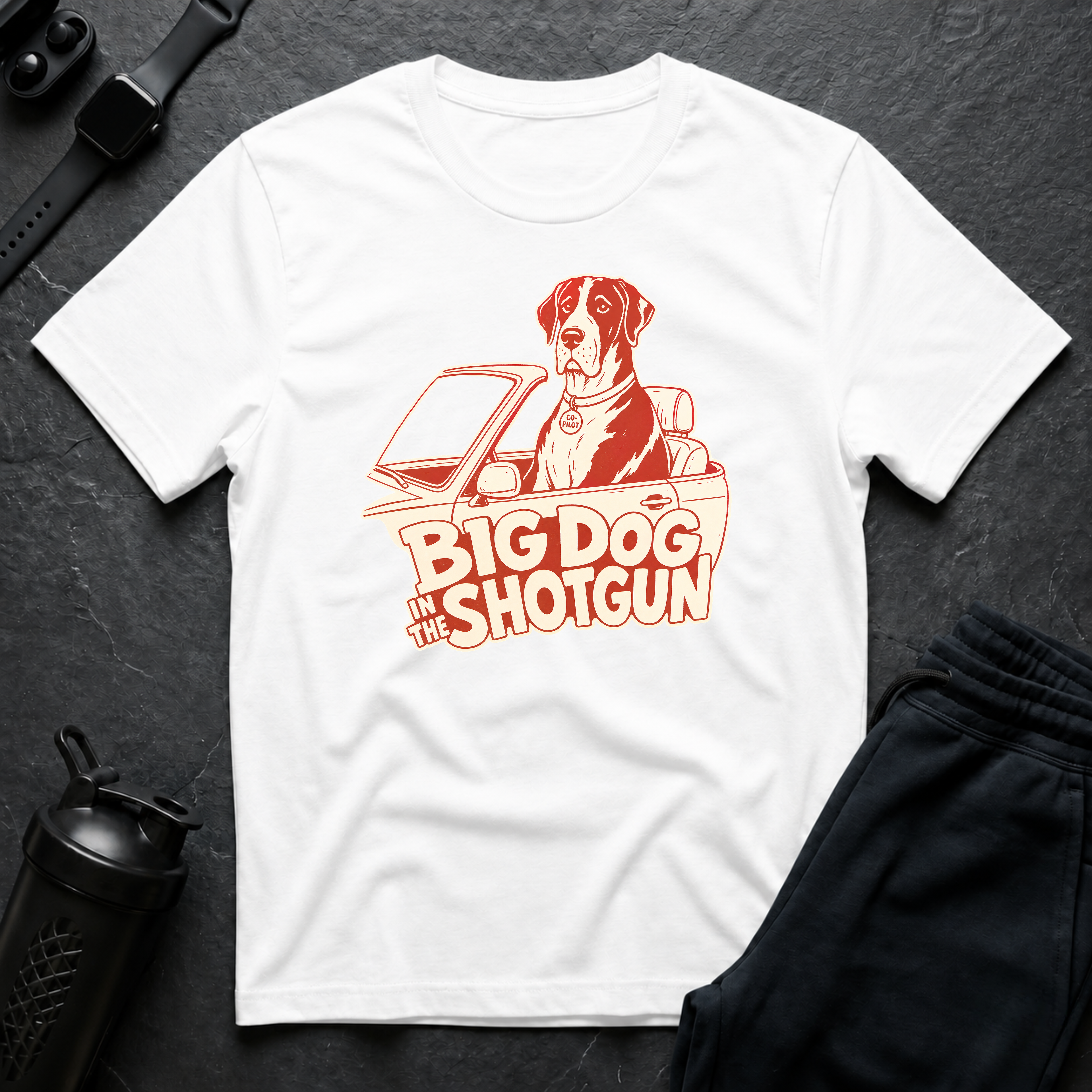 Big Dog Co-Pilot