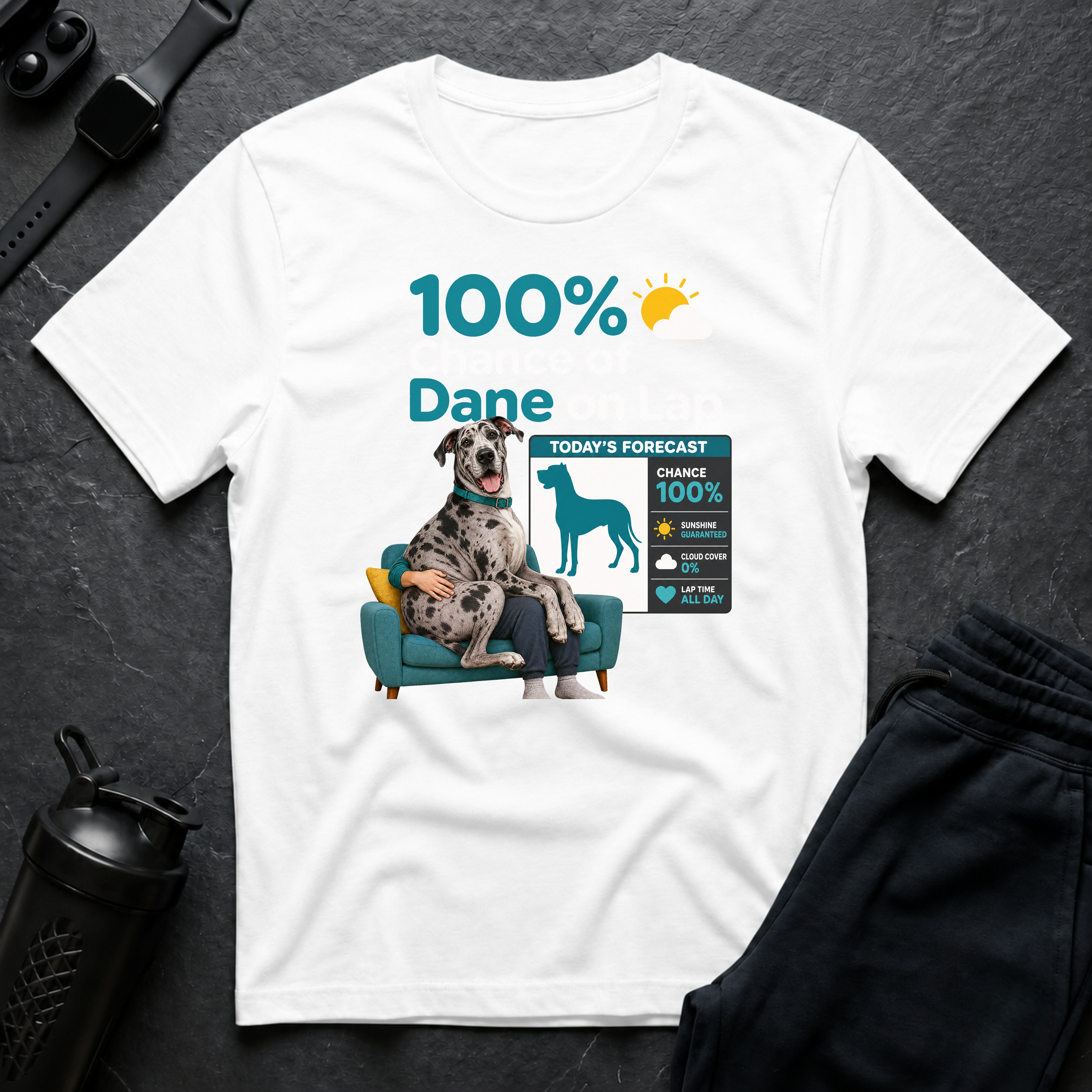 Dane on Lap Forecast