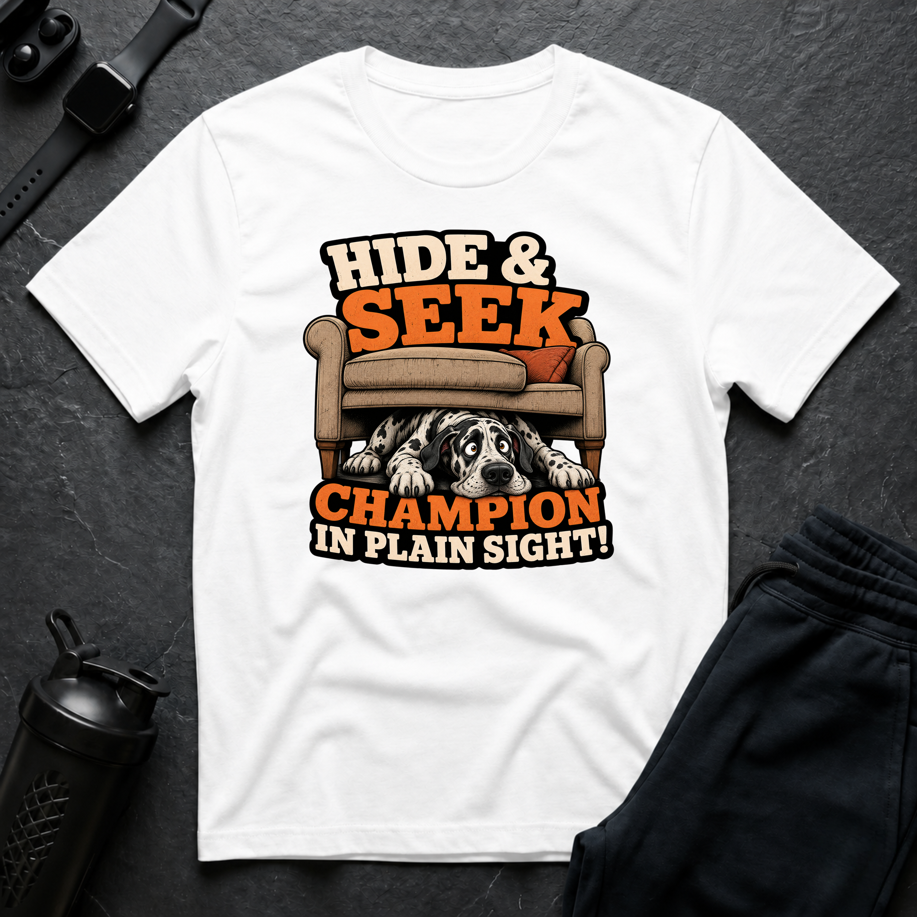 Hide Seek Champion
