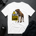 Tiny Flag Massive Dane