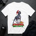 Present Security 14