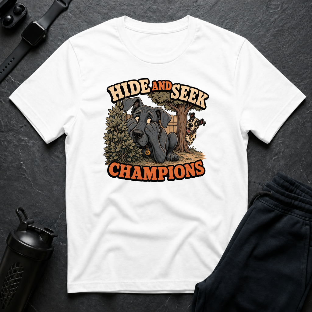 Hide and Seek Champions