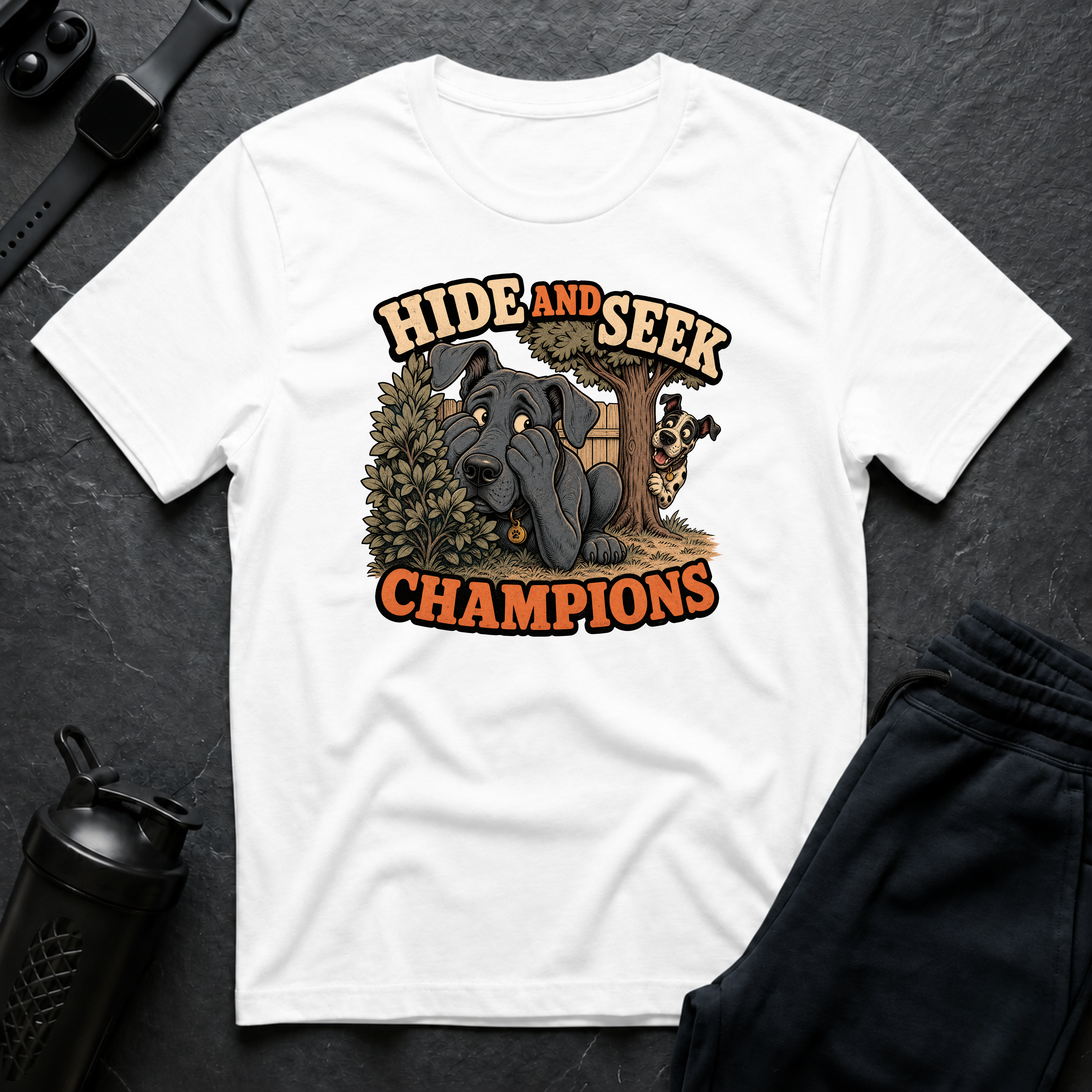 Hide and Seek Champions
