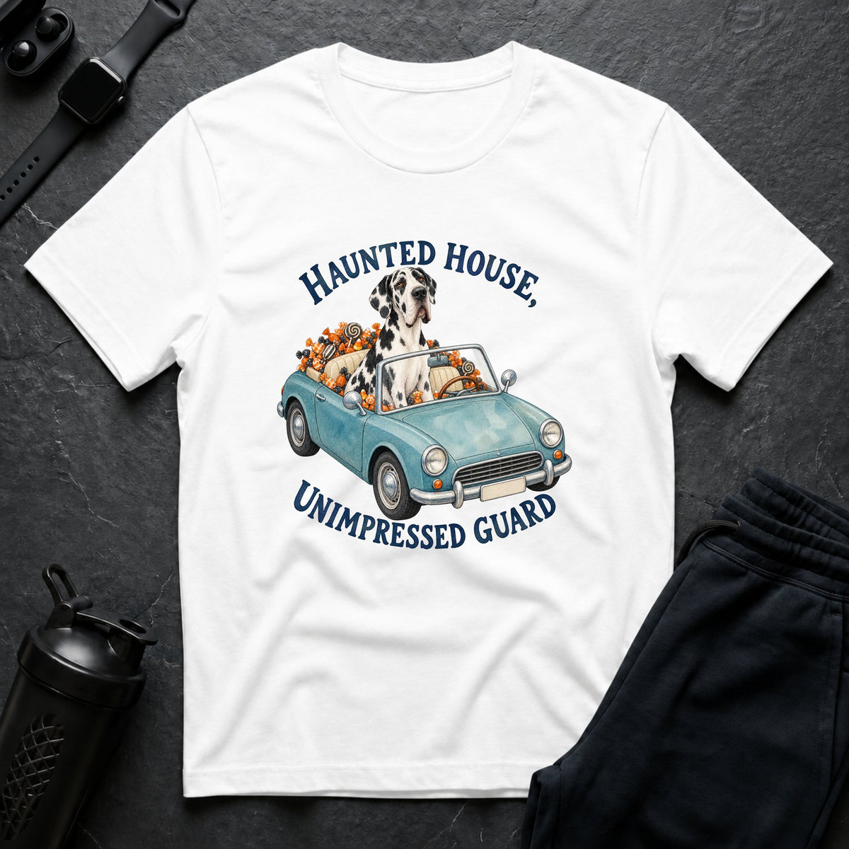 Haunted Guard