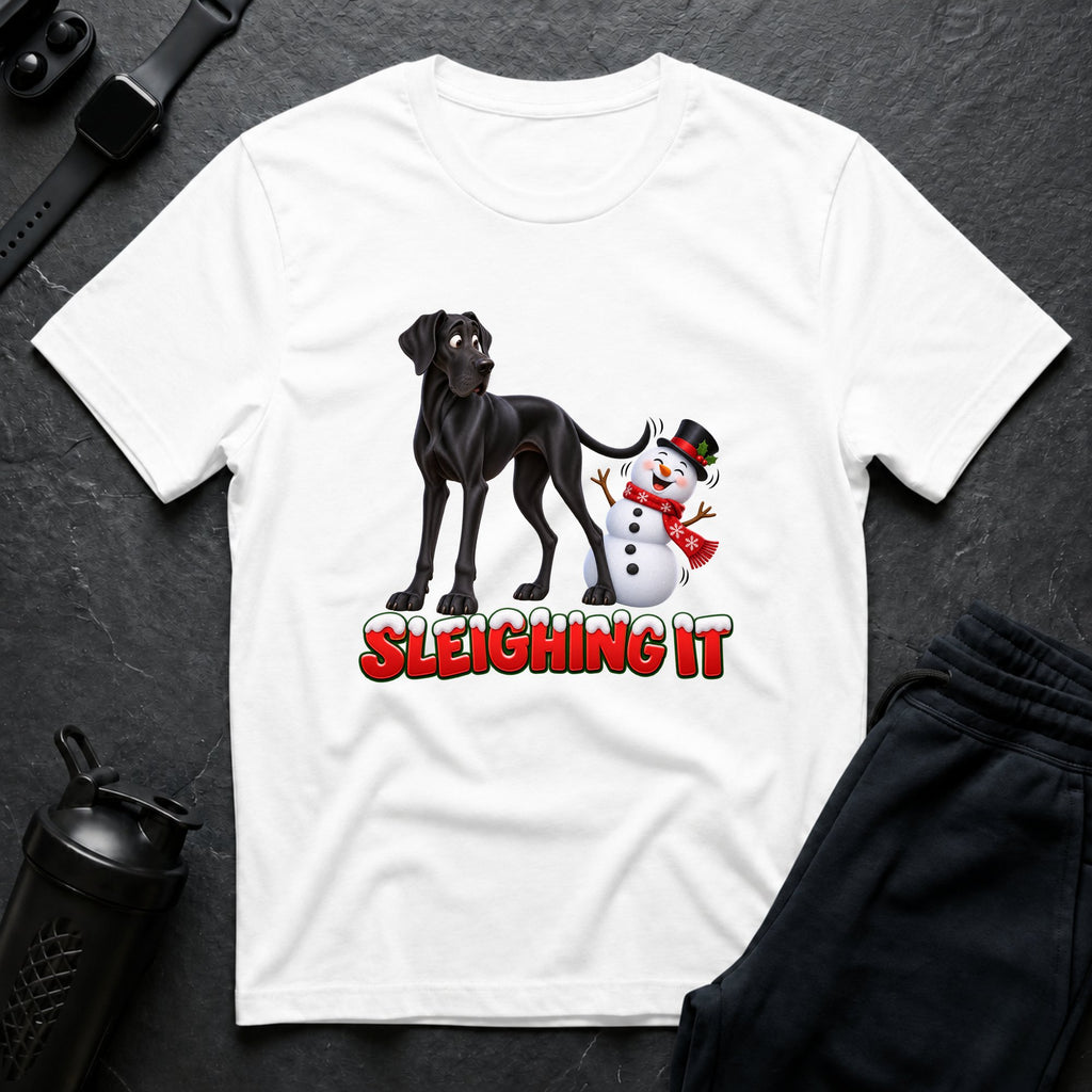 Sleighing It 4