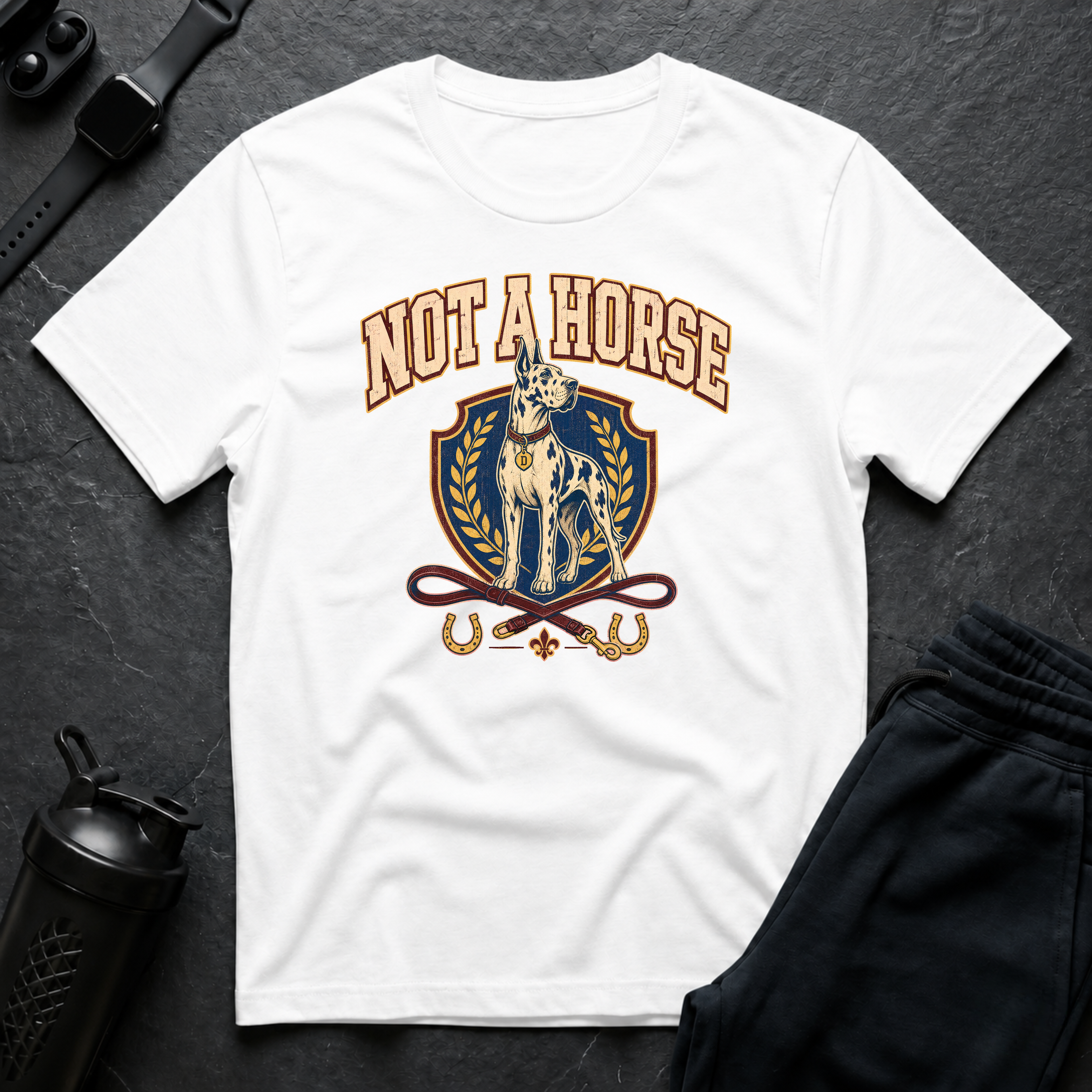 Not A Horse
