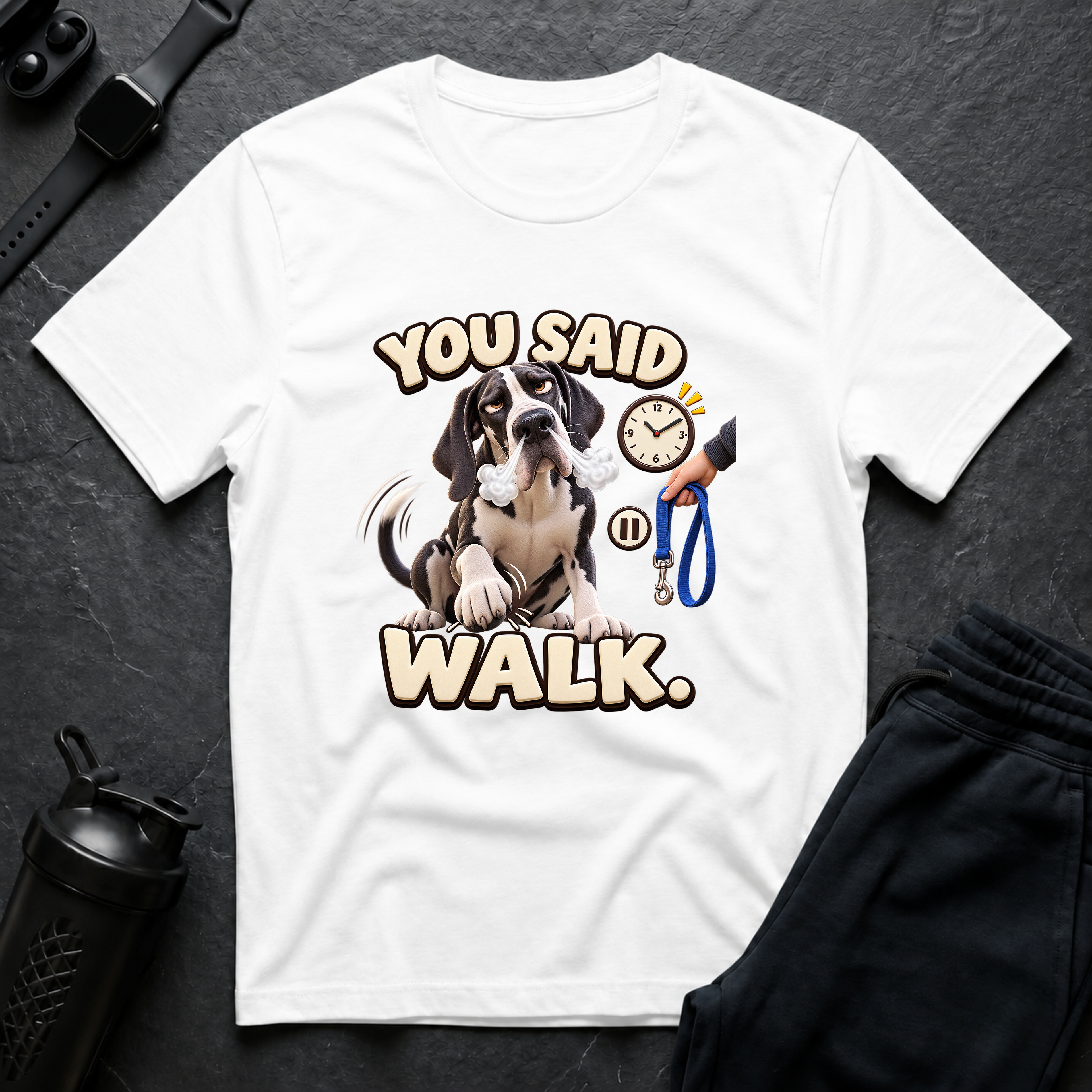 You Said Walk