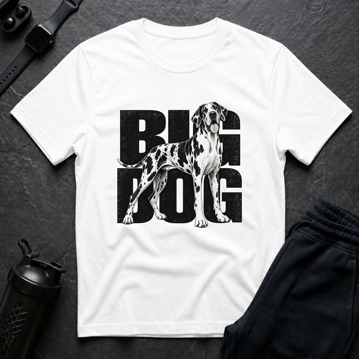 Big Dog