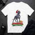 Present Security 9