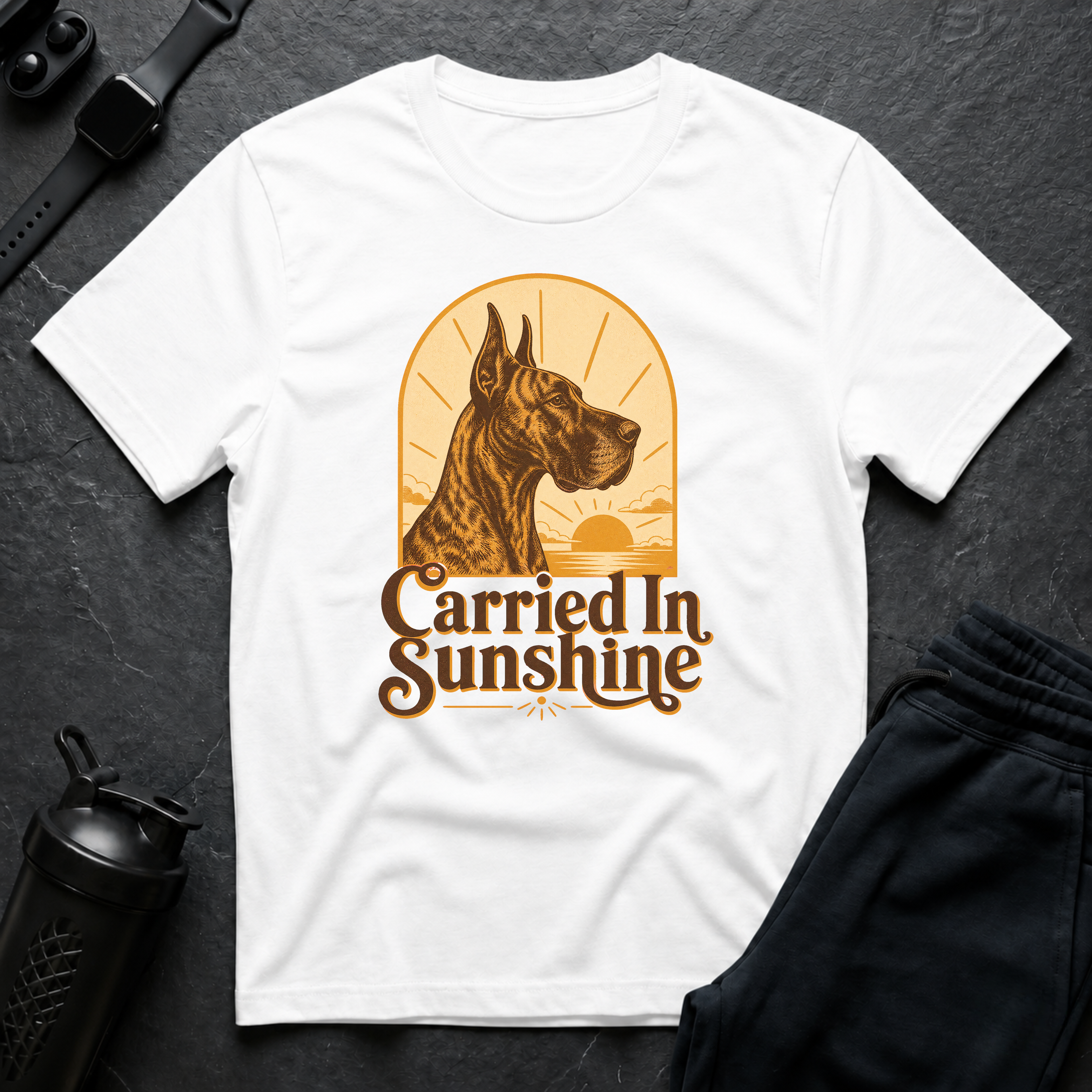Carried In Sunshine