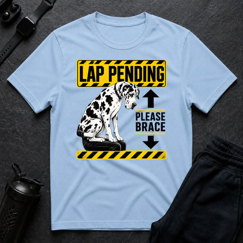 Brace Your Lap - Light Blue